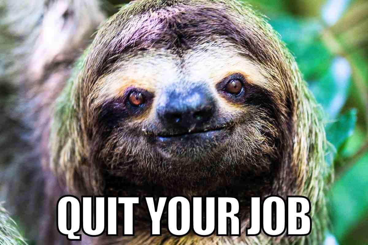 quit your job meme Meme featuring a sloth with a cheeky grin and the caption 'Quit Your Job,' humorously urging you to embrace a slower pace.