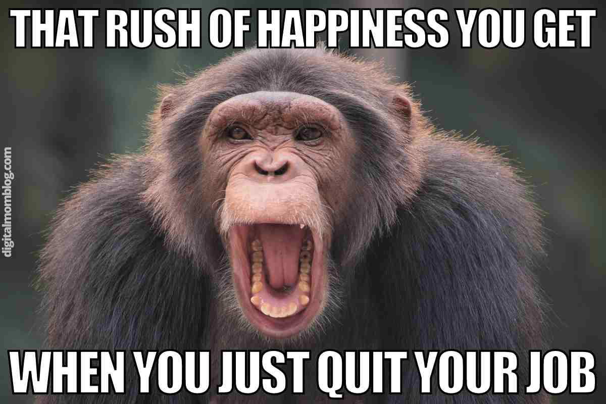 quitting job meme Meme featuring a chimpanzee with mouth wide open in excitement, captioned 'That rush of happiness you get when you just quit your job.'
