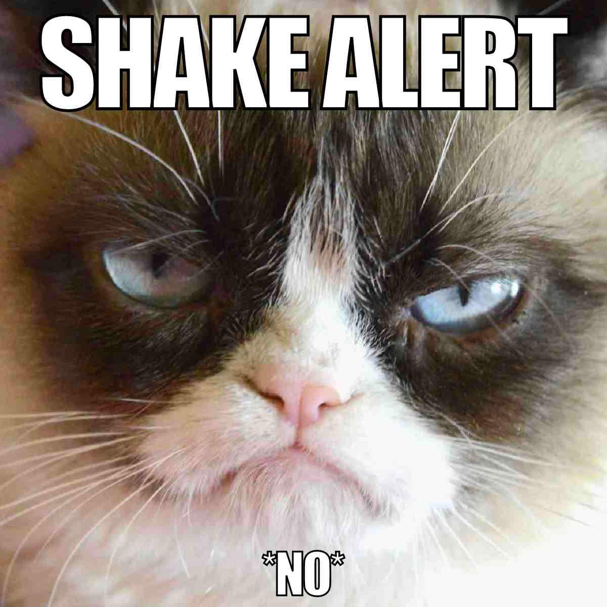 shake alert meme shake alert meme