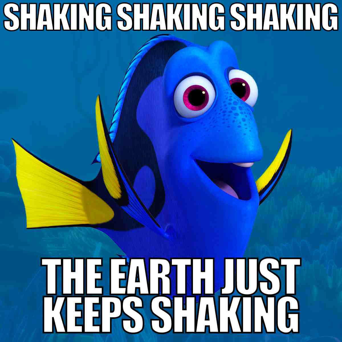 shaking meme shaking meme