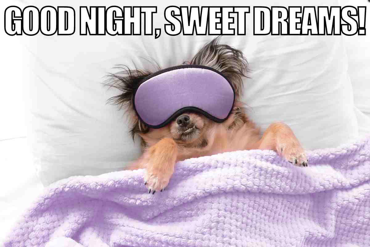 sweet dreams meme sweet dreams meme