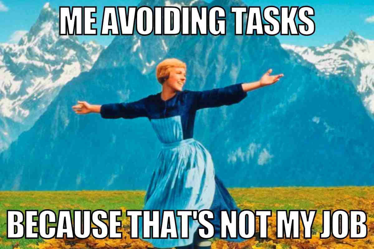 thats not my job meme Meme showing a joyful person with outstretched arms in a scenic mountain landscape, captioned 'Me avoiding tasks because that's not my job,' humorously capturing workplace avoidance.