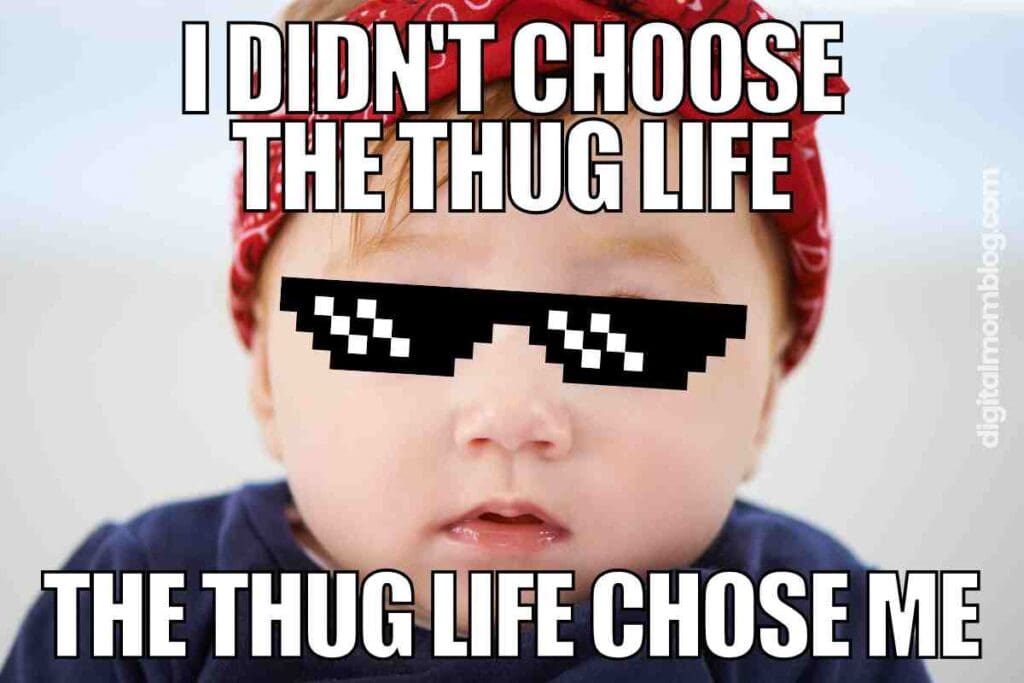thug life meme funny thug life meme funny