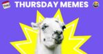 A meme image with a llama making a funny face in front of a purple background and a yellow starburst, with the text "Thursday Memes" at the top, accompanied by a calendar icon showing "Thu" and a laughing emoji.