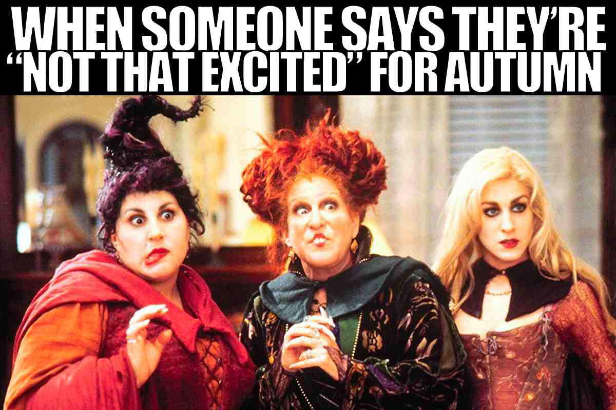 autumn meme funny autumn meme funny