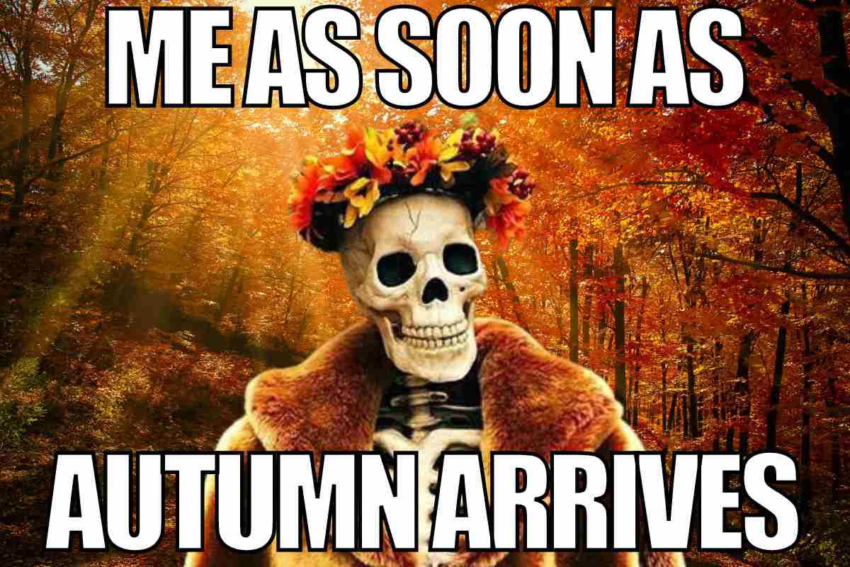 autumn meme autumn meme