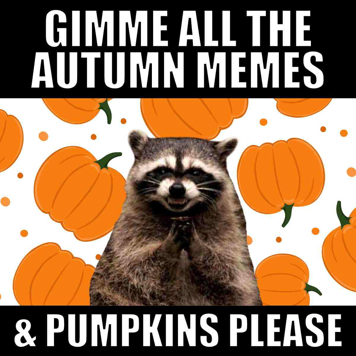 autumn memes pumpkins autumn memes and pumpkins please