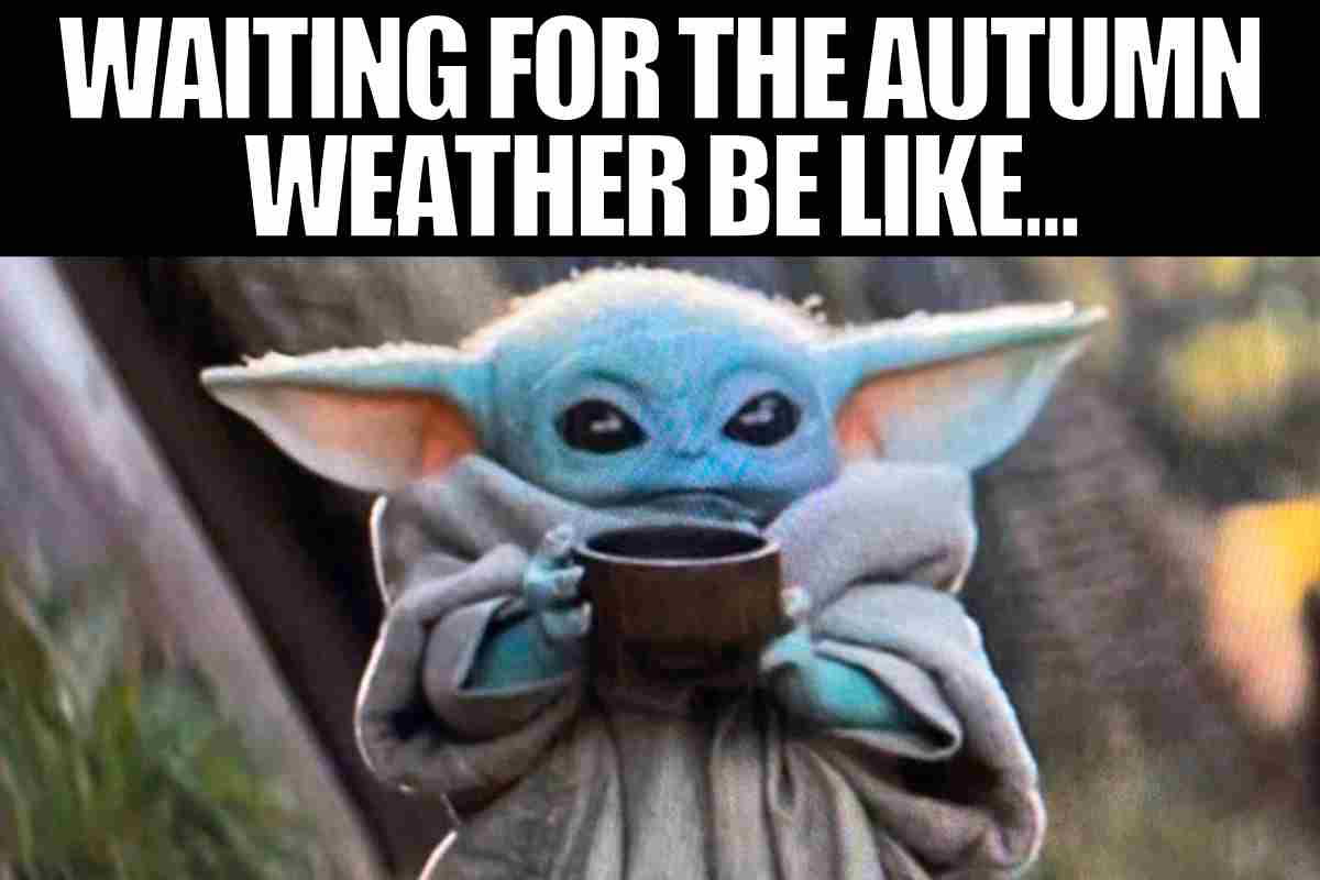 autumn weather meme autumn weather meme