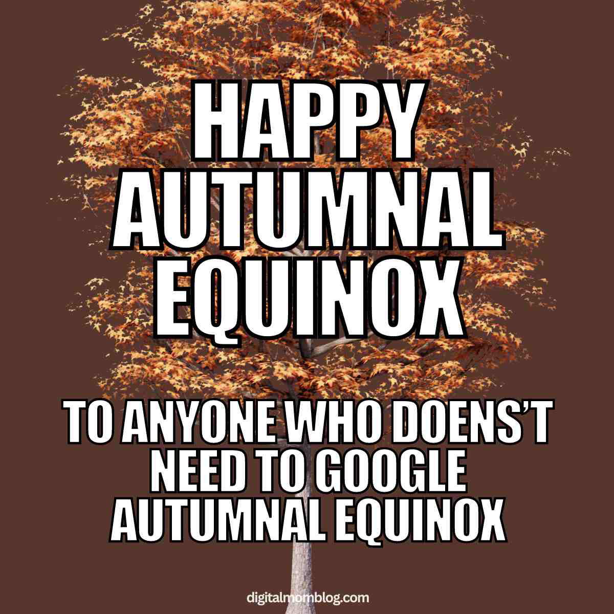 autumnal equinox meme autumnal equinox meme to anyone who doesnt need to google the definition