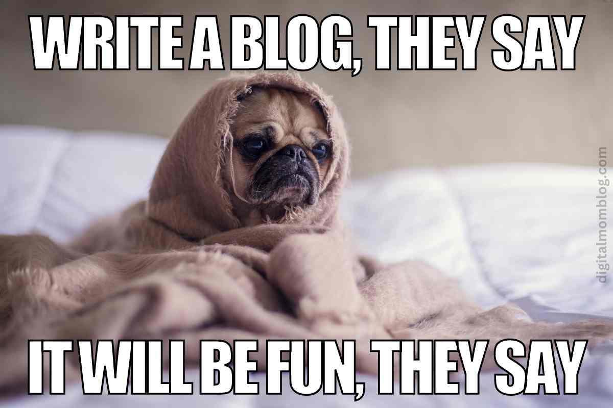 blog meme write a blog they say - it will be fun they say - blog meme