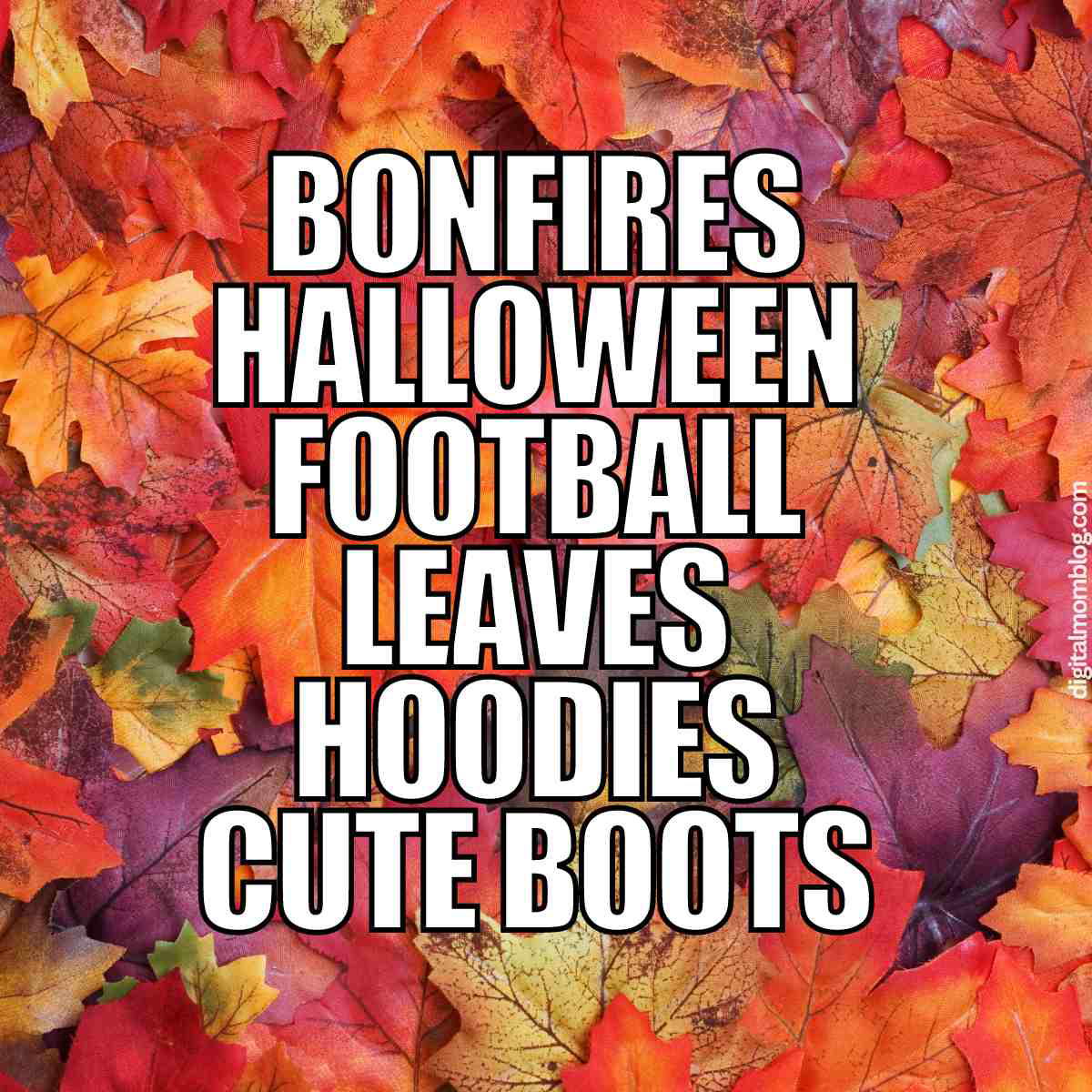 bonfire meme bonfire meme