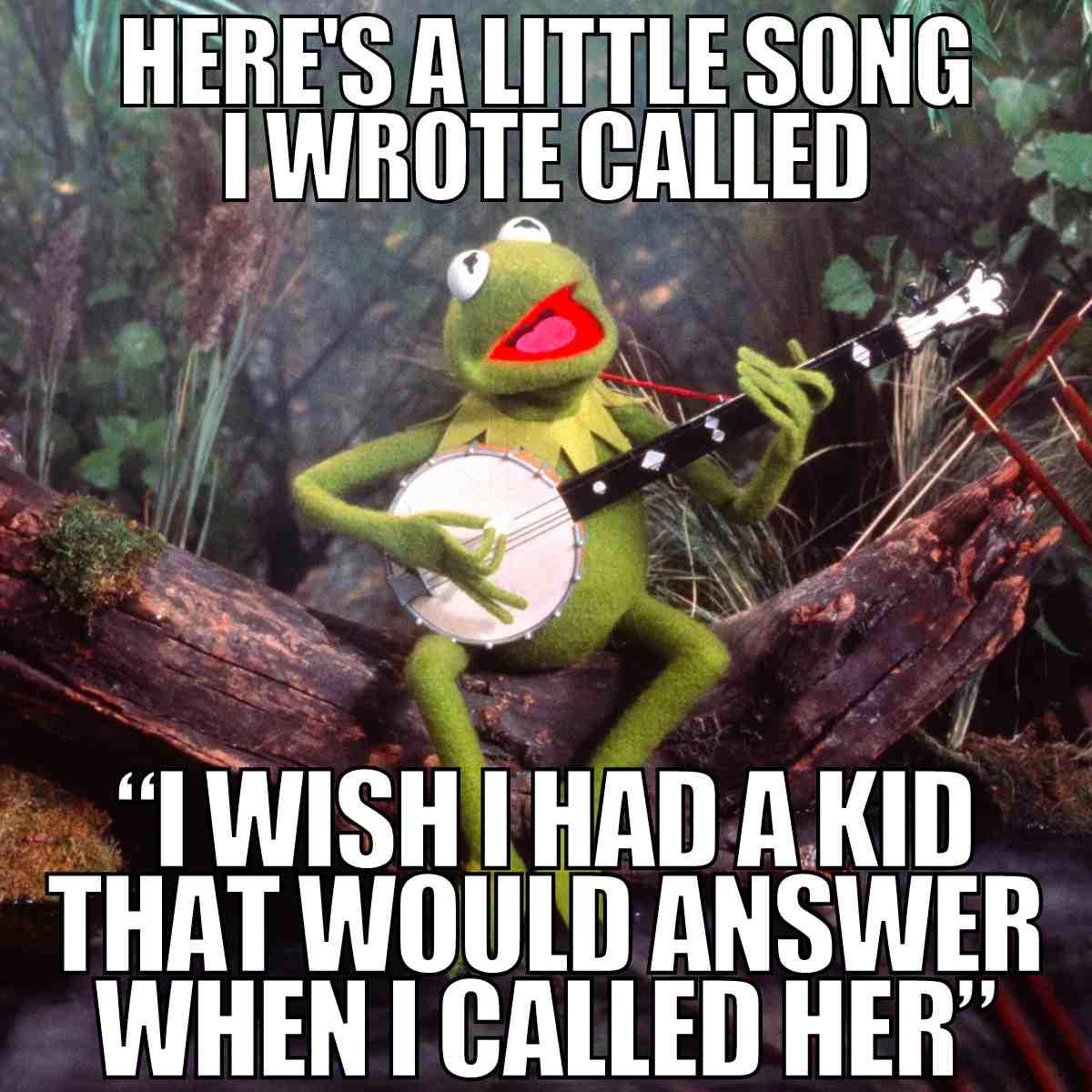 calling your daughter meme Meme featuring Kermit the Frog playing a banjo with the text: "Here's a little song I wrote called 'I wish I had a kid that would answer when I called her.'"