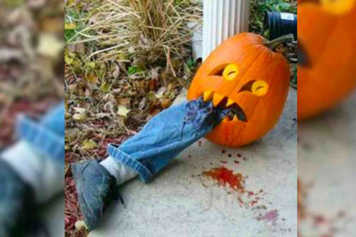 cannibal pumpkin face cannibal pumpkin face