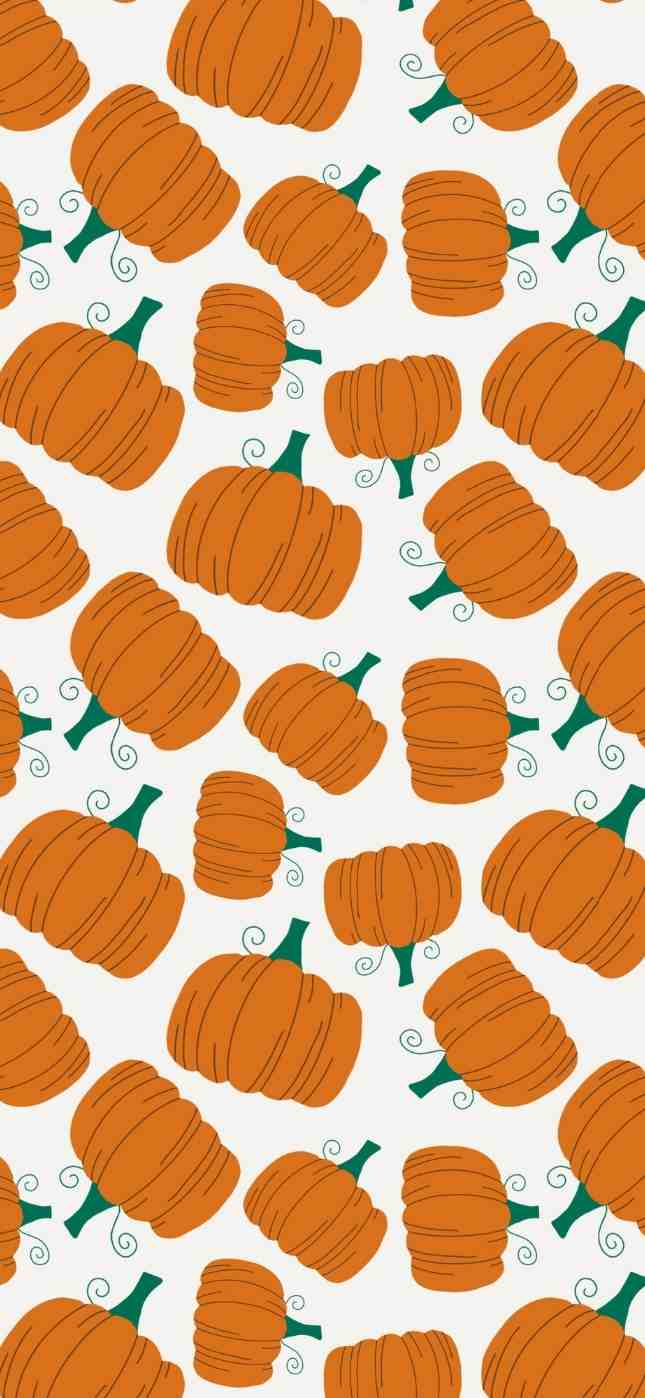 cute pumpkin iphone wallpaper cute pumpkin iphone wallpaper