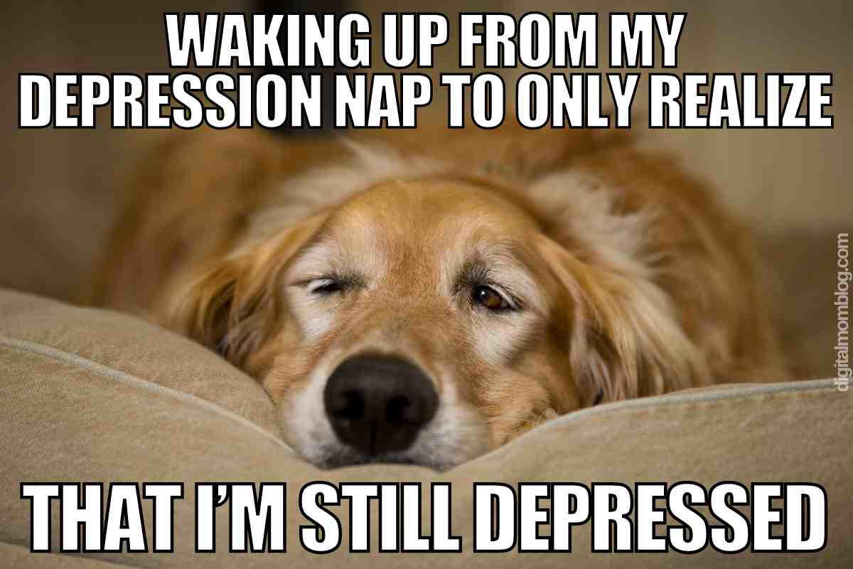 depression nap meme Meme showing a sleepy dog on a couch with text that humorously reads, "Waking up from my depression nap to only realize that I'm still depressed."