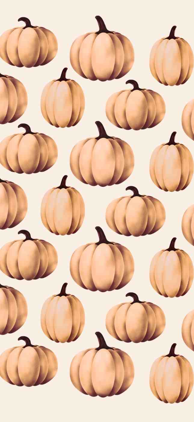 fall pumpkin iphone wallpaper fall pumpkin iphone wallpaper