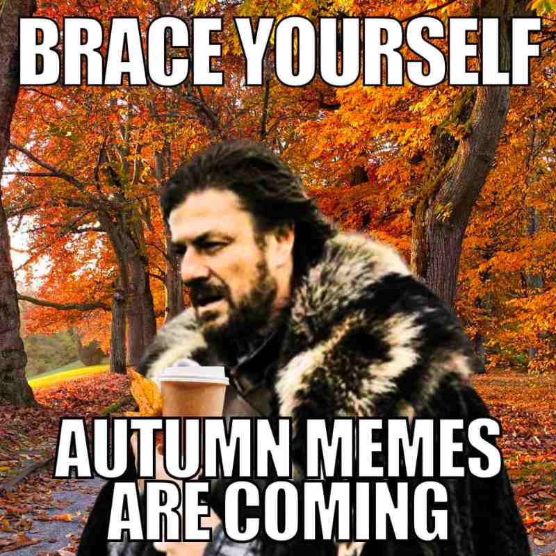 funny autumn memes funny autumn memes