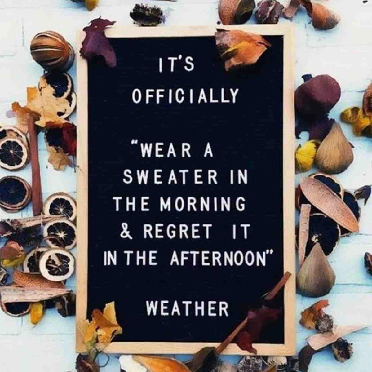 funny autumn weather quote meme A meme showing a signboard with a humorous quote: "It's officially 'wear a sweater in the morning & regret it in the afternoon' weather," surrounded by autumn leaves and fruits, capturing the essence of unpredictable fall temperatures.