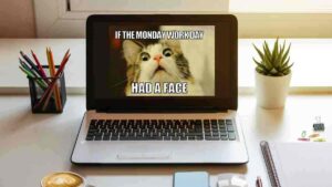 A laptop on a desk displays a funny Monday work meme of a wide-eyed cat with the caption "IF THE MONDAY WORK DAY HAD A FACE."