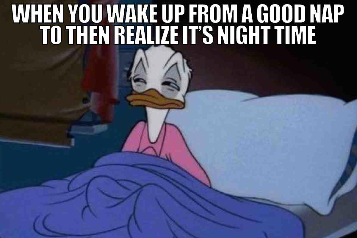 good nap meme Meme featuring a sleepylooking animated duck in bed with the caption, 'When you wake up from a good nap to then realize it’s nighttime,' humorously depicting the relatable feeling of oversleeping.