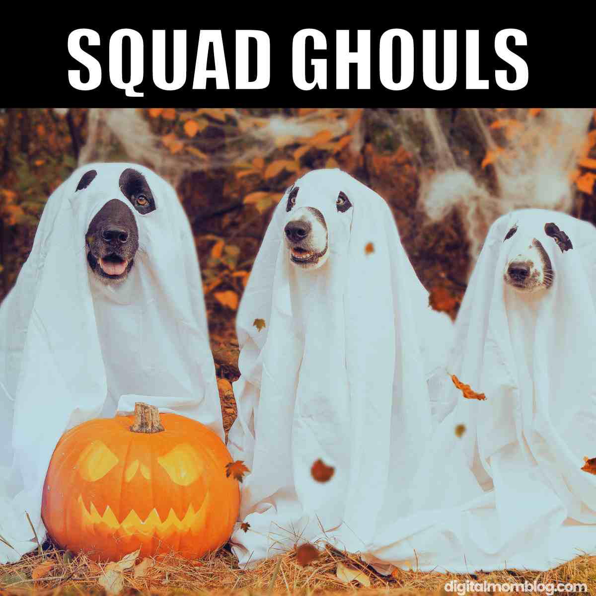 halloween meme dog ghosts Meme featuring three dogs dressed as ghostly apparitions with white sheets, posing next to a carved pumpkin, captioned 'Squad Ghouls' for a spooky yet hilarious Halloween vibe.