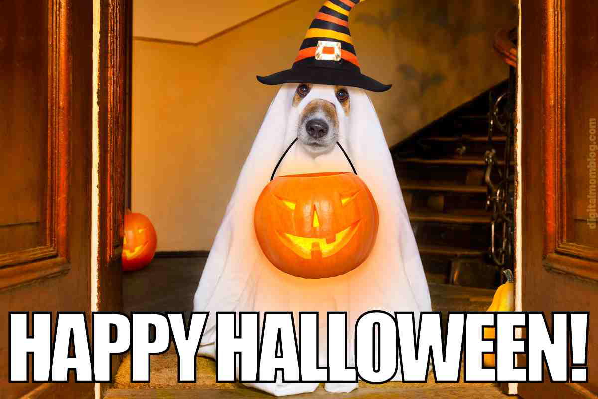 happy halloween memes happy halloween memes