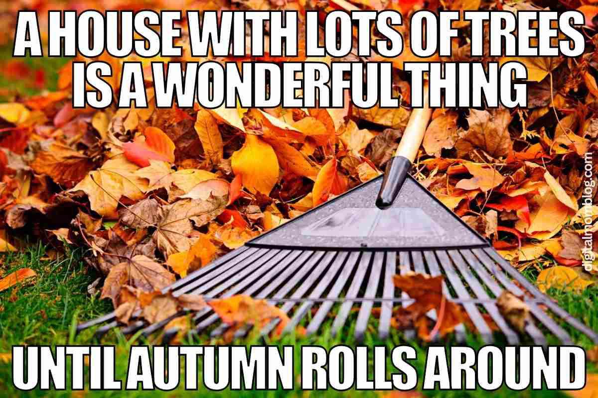 leaf raking meme autumn leaf raking meme autumn