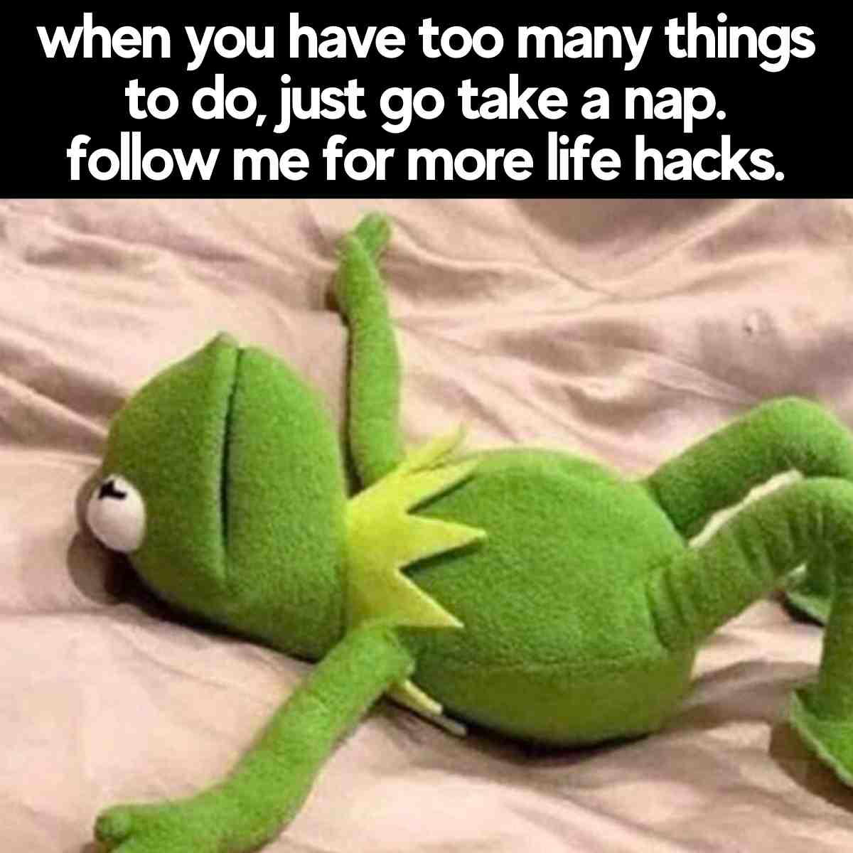 meme take a nap Meme of Kermit the Frog lying on his back with text saying, "When you have too many things to do, just go take a nap. Follow me for more life hacks."