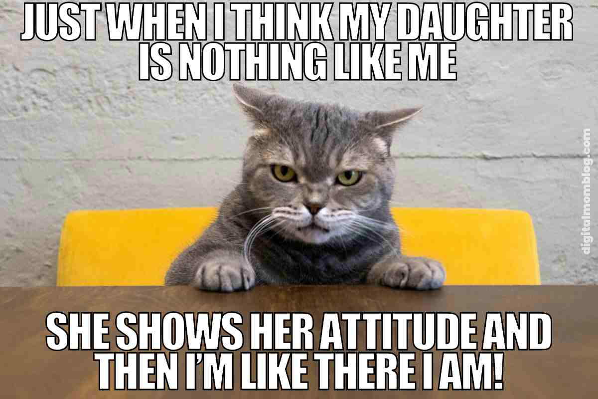 mom and daughter meme Grumpy cat meme with text comparing a daughter's attitude to her parent's with humor.