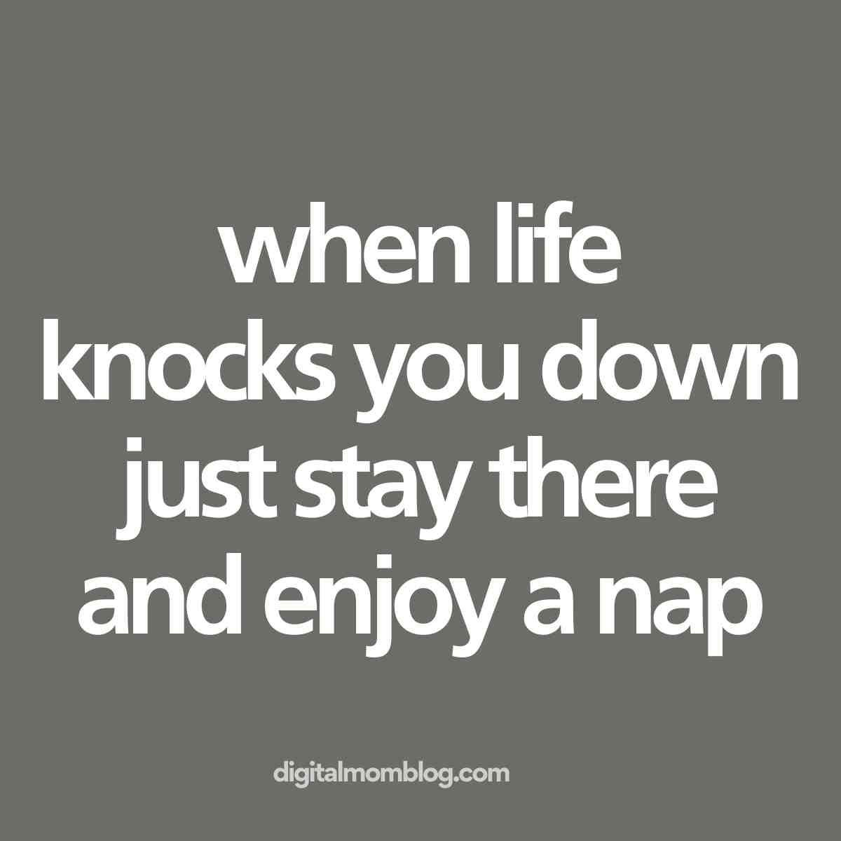 nap life meme Humorous meme with text: 'When life knocks you down, just stay there and enjoy a nap,' suggesting a cozy alternative to getting up.