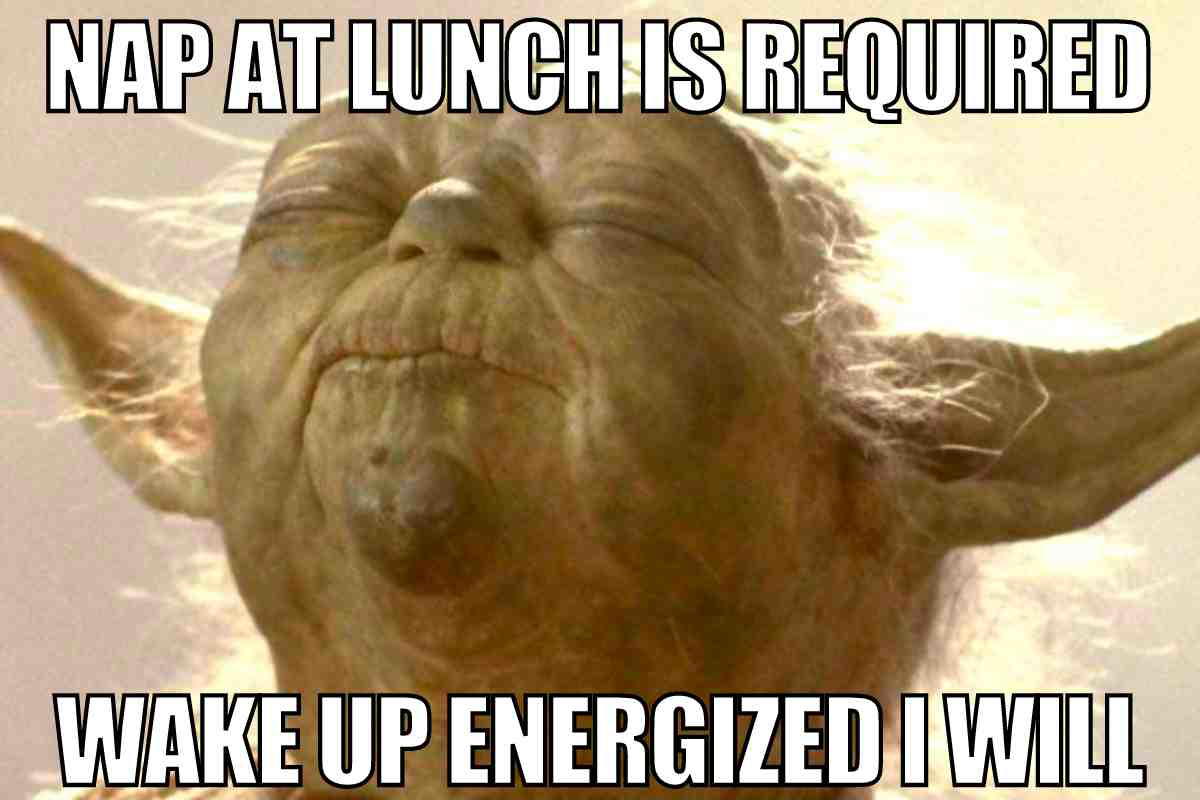 nap lunch meme Meme featuring a wiselooking character enjoying a blissful nap, with the text: 'Nap at lunch is required, wake up energized I will,' capturing the essence of a restful midday snooze.