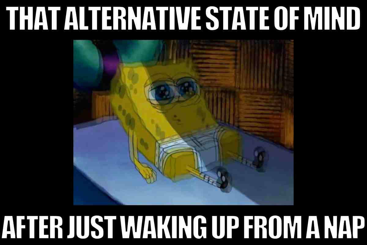 nap spongebob meme Meme featuring a dizzylooking yellow cartoon sponge character lying on a bed, with the caption 'That Alternative State of Mind After Just Waking Up from a Nap,' humorously capturing the postnap daze.
