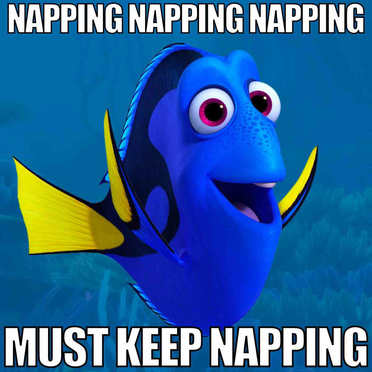 napping meme Meme depicting a blue fish with wide eyes, humorously captioned "Napping napping napping must keep napping," expressing a love for naps.