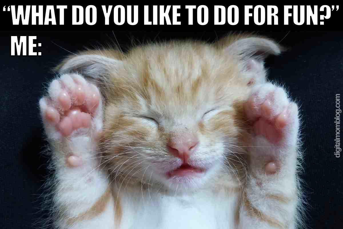 napping memes Meme of a sleepy kitten with paws up, responding to "What do you like to do for fun?" with the classic 'nap like a pro' vibe.