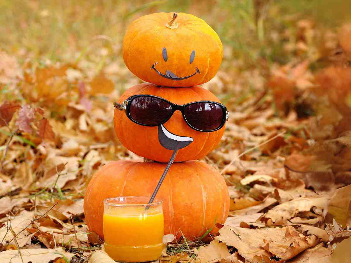 no carve pumpkin face sunglasses pumpkin face with sunglasses