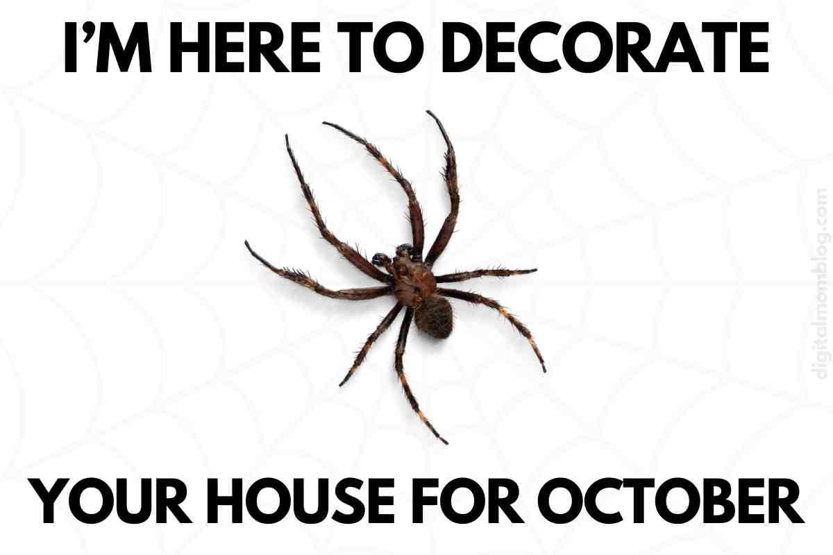 october humor meme funny meme for october spider decorating your house