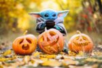 yoda and pumpkins introducing october 2024 memes