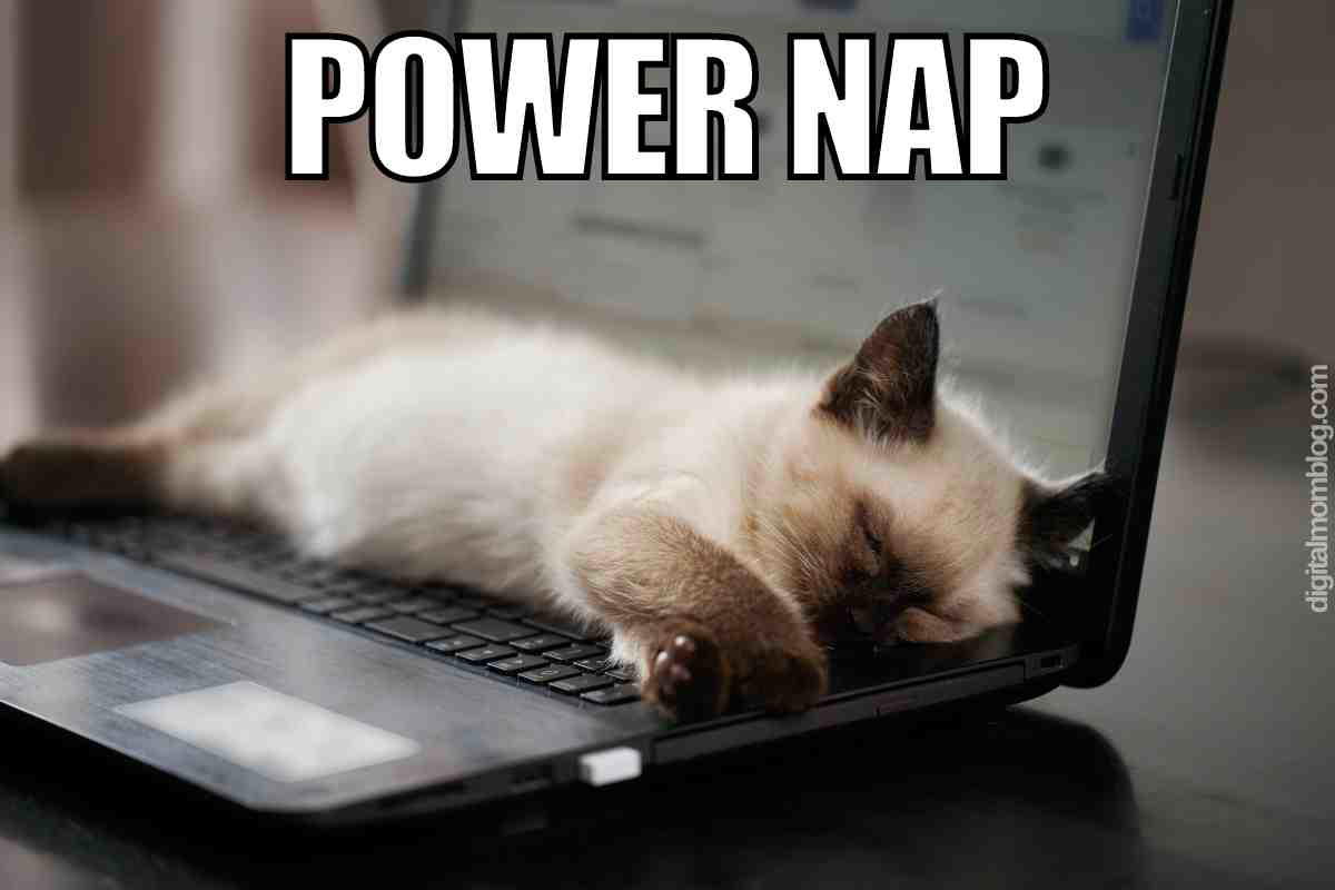 power nap meme Meme featuring a cute kitten sleeping on a laptop keyboard with the text 'POWER NAP' above, humorously illustrating the concept of a quick nap.