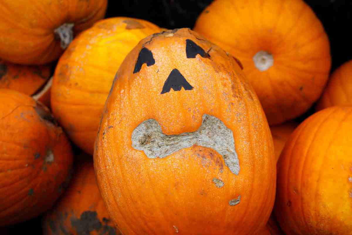 pumpkin face ideas feature image feature image for pumpkin face ideas