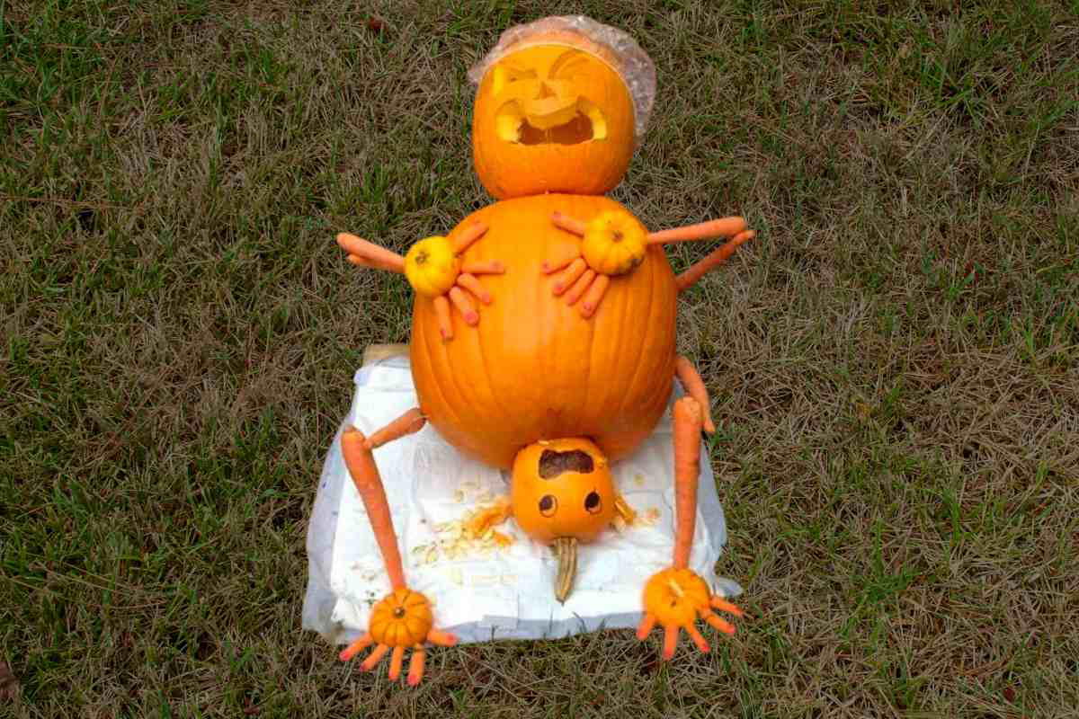 pumpkin gives birth pumpkin gives birth