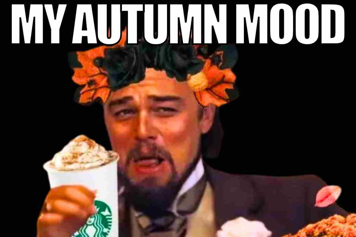 pumpkin spice latte meme pumpkin spice latte meme