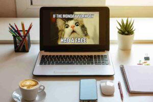 Meme: A shocked cat's face with the text 'If the Monday work day had a face' displayed on a laptop screen, surrounded by office desk items.