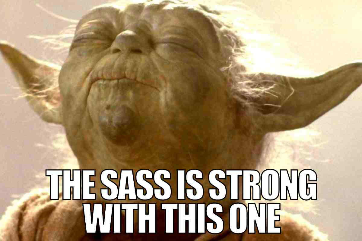 sassy meme daughter Meme featuring a wise creature with the caption 'The sass is strong with this one,' humorously nodding to a daughter's legendary attitude.