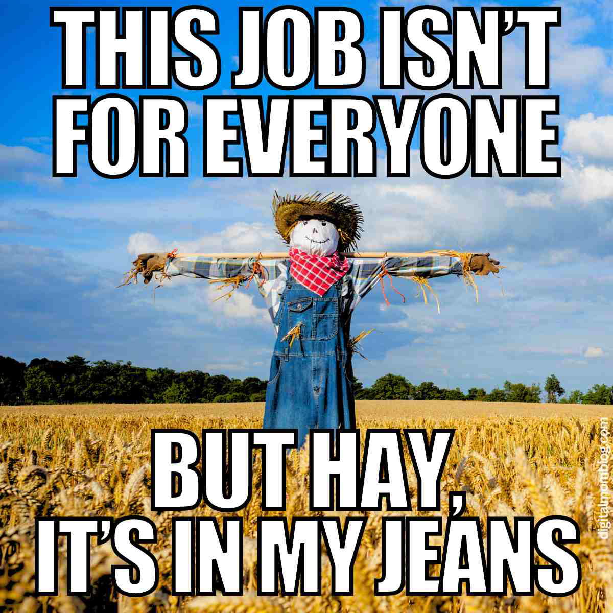 scarecrow meme scarecrow meme
