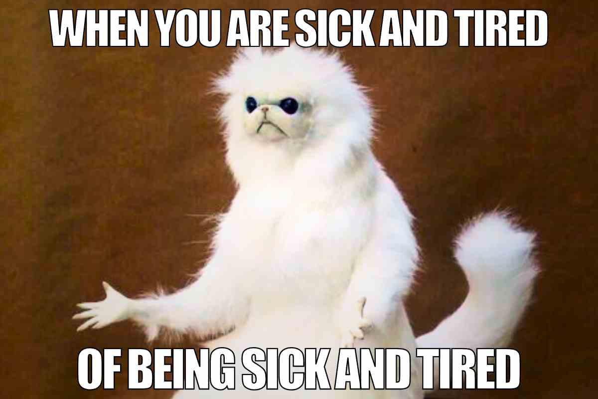 When you are sick of being sick meme Meme featuring a fluffy white animal looking exasperated, with text 'WHEN YOU ARE SICK AND TIRED OF BEING SICK AND TIRED', capturing that 'ugh!' moment.