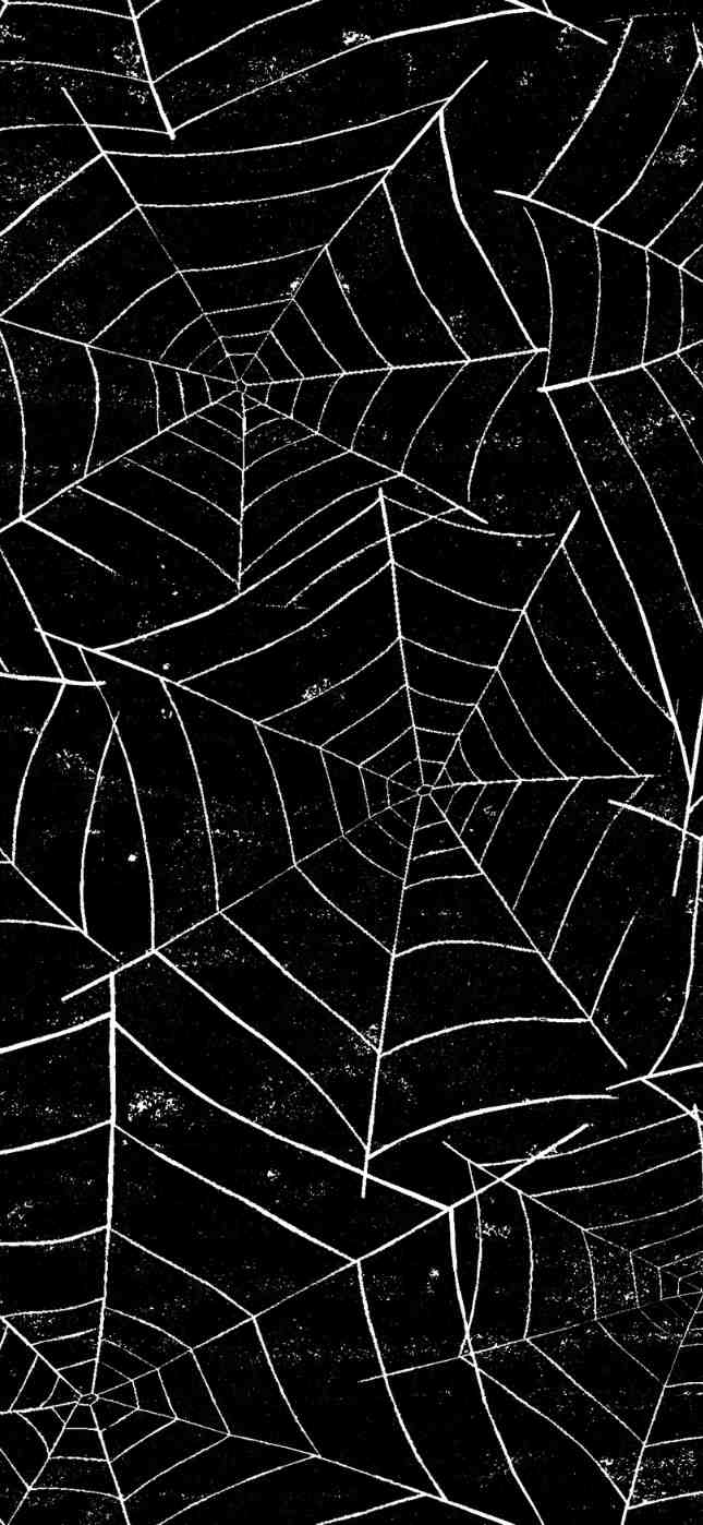 spiderweb iphone wallpaper spiderweb iphone wallpaper