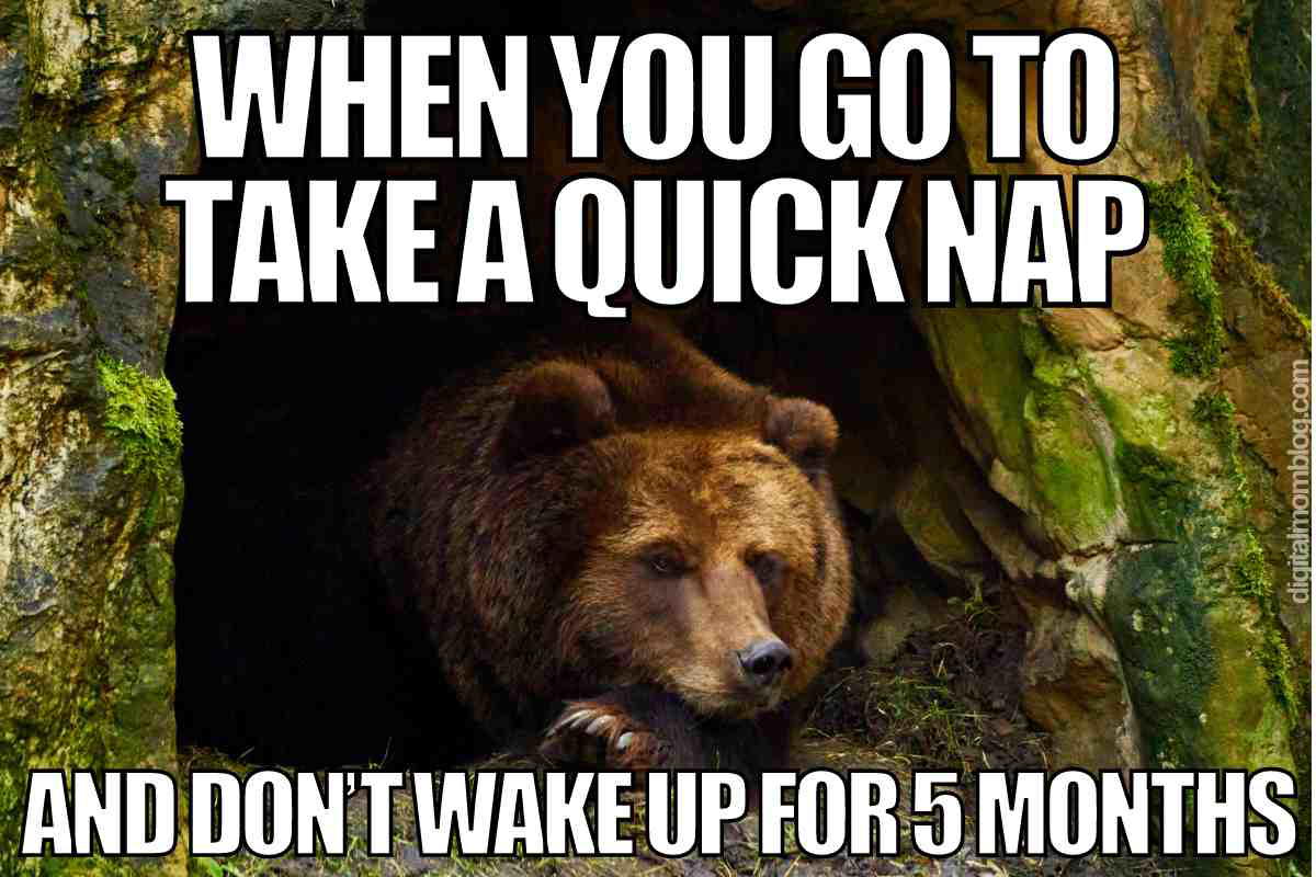 take a nap meme hibernation Meme with a bear in a cave captioned 'When you go to take a quick nap and don't wake up for 5 months,' humorously highlighting unexpected long naps.