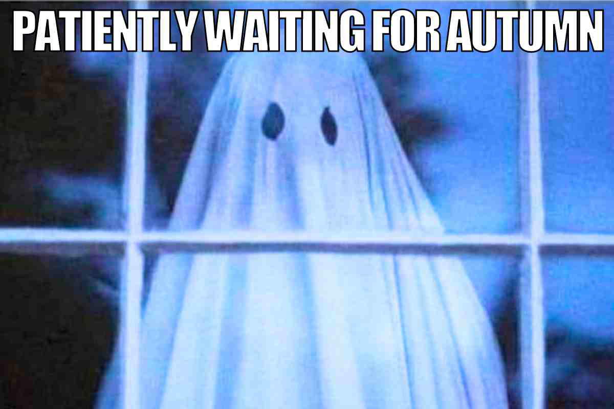 waiting for autumn meme halloween waiting for autumn meme halloween