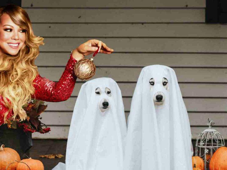 day before halloween memes october 30 day before halloween memes october 30