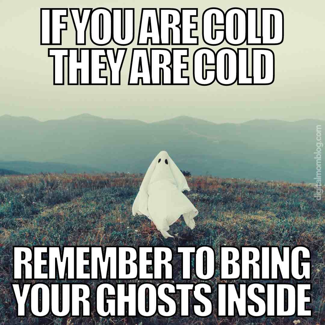 funny ghost meme A meme showing a ghost in a field with the text 'If you are cold, they are cold. Remember to bring your ghosts inside,' humorously reminding you to be considerate of chilly spirits.